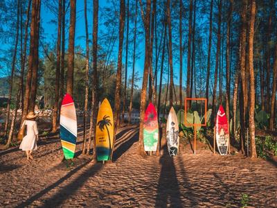 Plusieurs planches de surf colorées sont posées sur la plage devant une forêt de grands arbres.