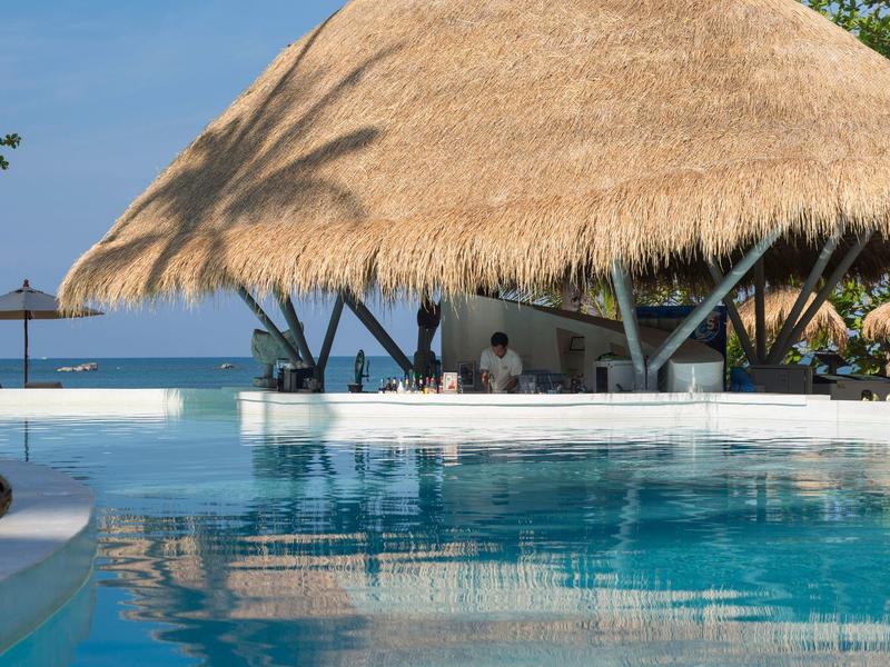 Basen z czystą wodą pod dachówką ze słomy, z widokiem na morze i palmy.