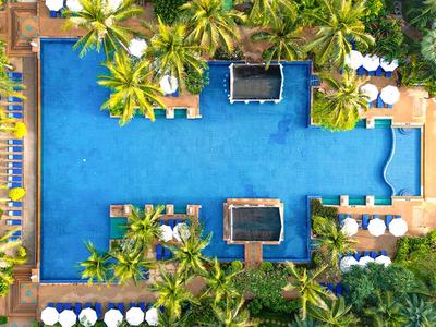 Vista dall'alto di una piscina rettangolare circondata da palme e lettini.