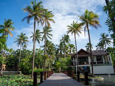 Un chemin mène à une maison en bois entourée de grands palmiers sous un ciel bleu.