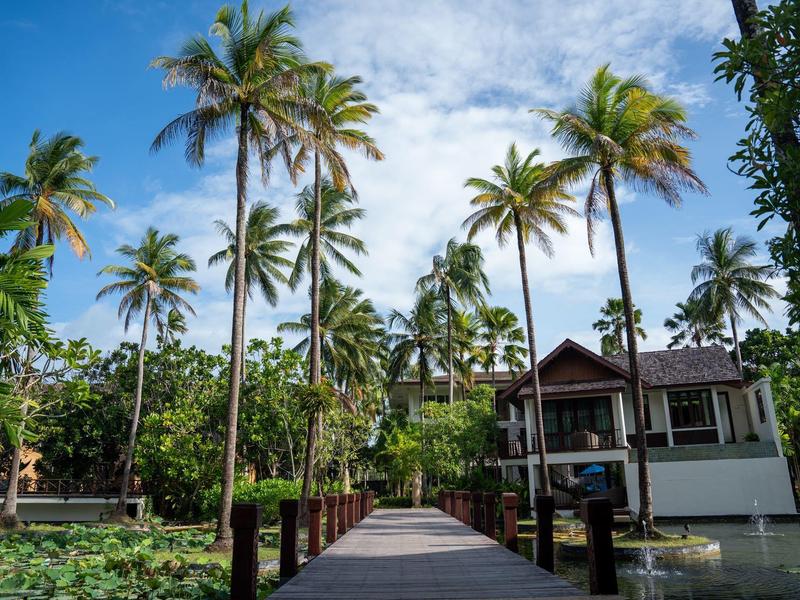 Molo lemované palmami vedoucí k domu v tropickém prostředí pod modrou oblohou.