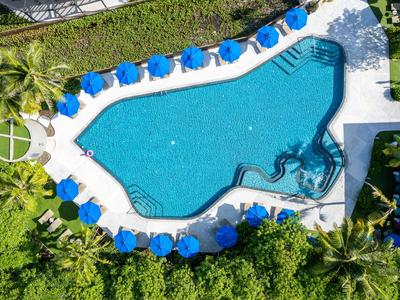 Vista dall'alto di una piscina con ombrelloni blu e piante verdi intorno