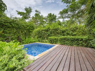 Kleines viereckiges Schwimmbecken mit blau-weißen Fliesen und Holzboden umgeben von dichtem Grün.
