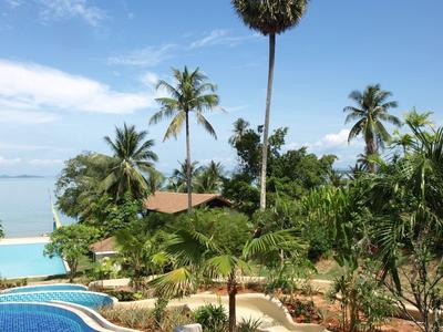 Pool mit blauer Kachelfassung und Palmen unter blauem Himmel am tropischen Gartenweg.