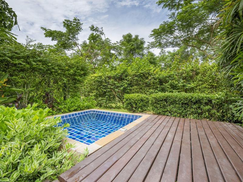 Mały niebieski basen z drewnianym tarasem otoczony gęstymi zielonymi roślinami i drzewami.