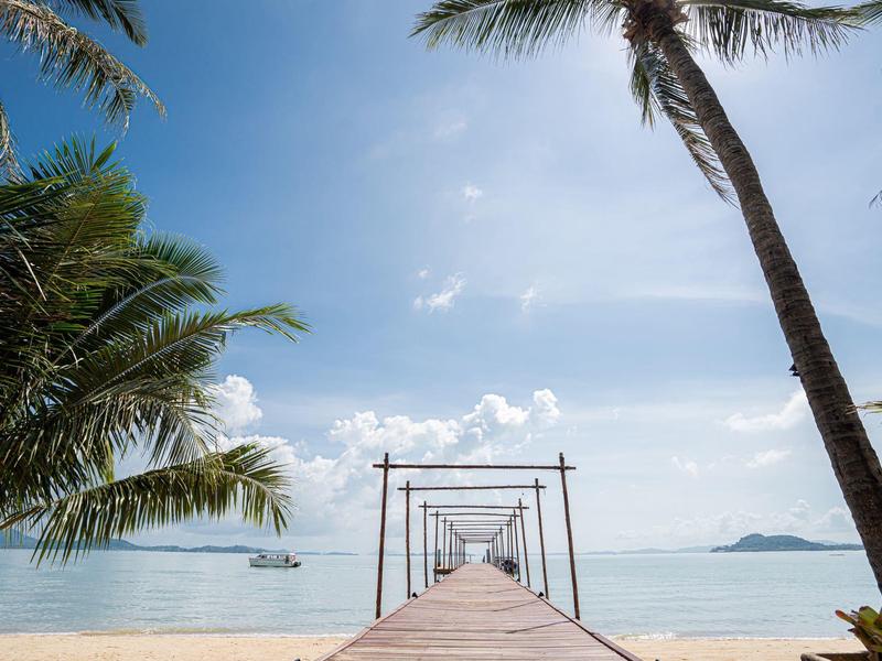 Drewniany pomost prowadzi przez tropikalne palmy do morza pod czystym niebem