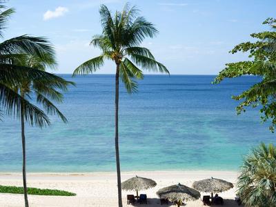 Widok na białą piaszczystą plażę z palmami i parasolami nad turkusowym morzem.