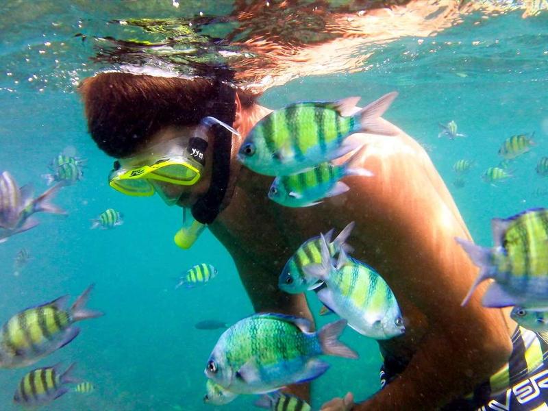 Persona che fa snorkeling in acqua limpida circondata da pesci tropicali colorati.