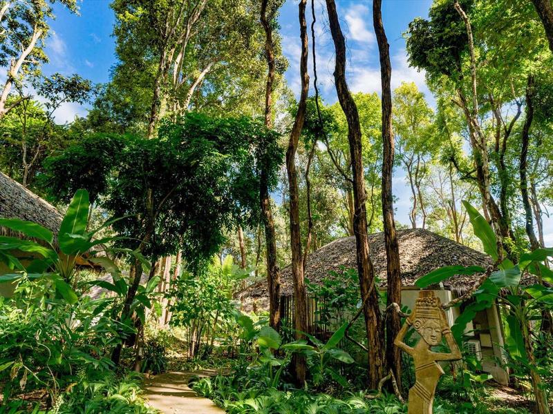 Paesaggio boschivo con sentieri e piccole capanne di materiali naturali tra gli alberi.