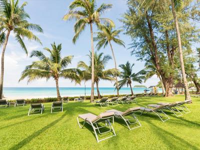 Green lounge chairs on grass with palm trees and sea in the background at a sunny beach.