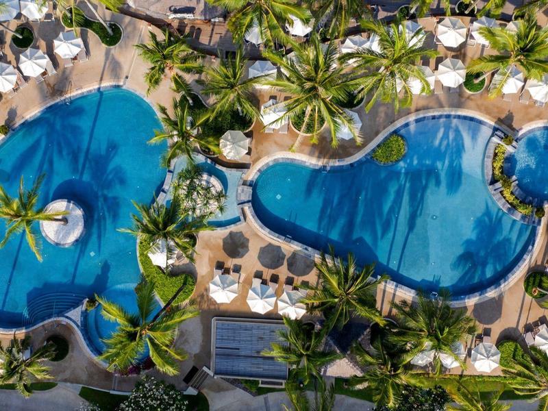 Aerial view of a tropical pool with palm trees and loungers around the edge.