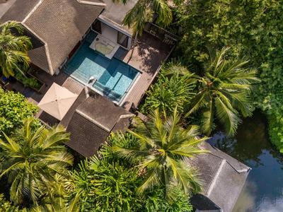 Widok z lotu ptaka na basen i dom otoczone bujną tropikalną roślinnością i palmami.