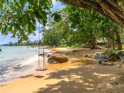 A deserted beach with a hanging swing from a tree, clear sky, and calm water.