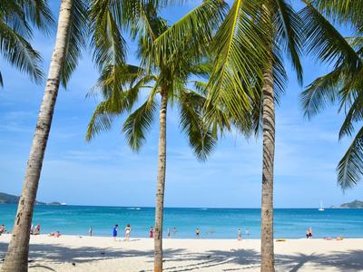 Strand mit Palmen und blauem Meer unter klarem Himmel