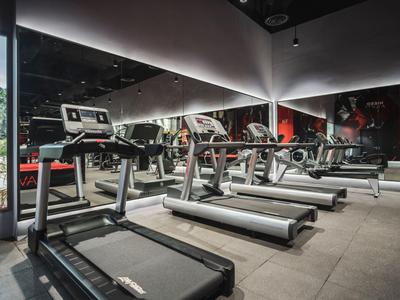 Nowoczesny sprzęt fitness w dobrze oświetlonym pomieszczeniu siłowni z lustrami na ścianie.