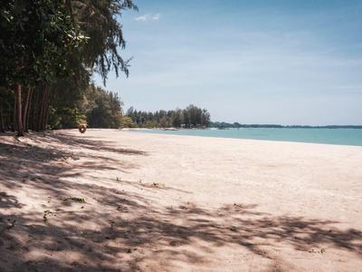 Opuszczona piaszczysta plaża z drzewami po lewej stronie i spokojnym niebieskim morzem pod jasnym niebem.