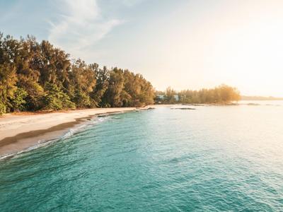 Plaża z czystą wodą i zalesionym brzegiem o wschodzie słońca