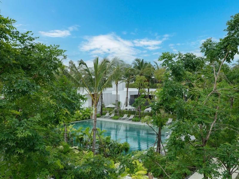 Vista de una piscina de hotel rodeada de verde exuberante y palmeras bajo un cielo azul.