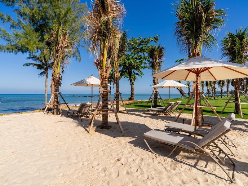 Lehátka a slunečníky na písečné pláži s palmami a výhledem na moře.