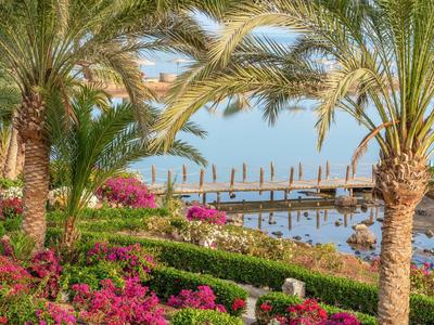 Coastal garden with palm trees and colorful flowers overlooking a wooden pier and calm sea.
