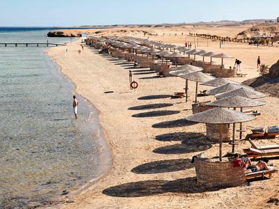 Langer Sandstrand mit Reihen von Sonnenschirmen und Liegen neben klarem, ruhigem Wasser.
