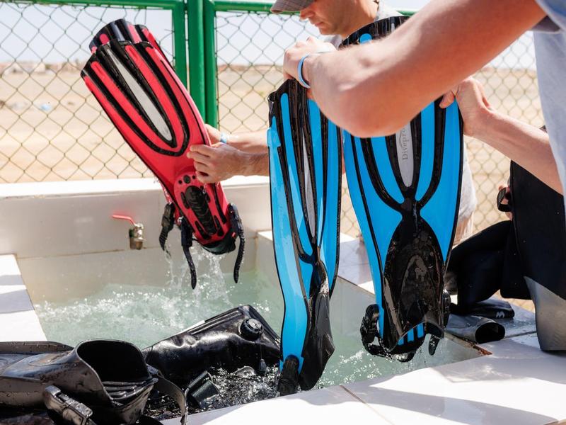 Persona che tiene pinne da snorkeling vicino all'acqua e attrezzatura su un tavolo.