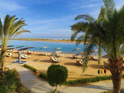 Beach area with sun loungers under umbrellas, surrounded by palm trees and blue sea in the background.