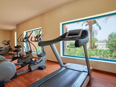 Gym room with treadmill and ellipticals in front of large windows overlooking palm trees.