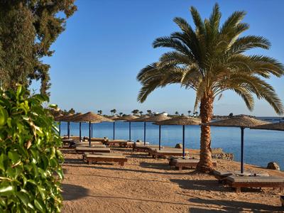 Plage avec transats, palmiers et parasols au bord d'une mer calme sous un ciel clair.