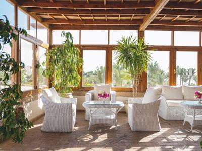 Bright sunlit room with white armchairs, tables, and plants in front of large windows.