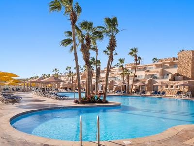Large outdoor pool with palm trees and sun loungers in a sunny hotel area.