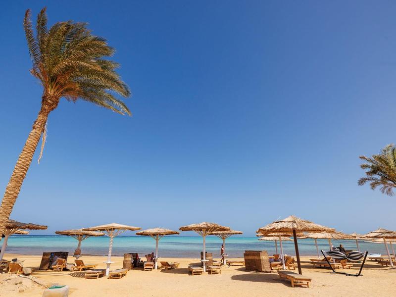 Plage ensoleillée avec palmiers, parasols en paille et chaises longues près de la mer bleue claire.