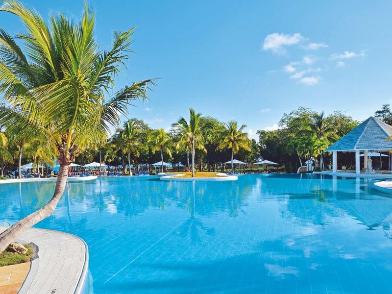 Modrý bazén obklopený palmami a stavbou se střechou u vody.