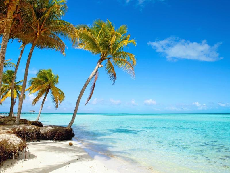 Pláž s bílým pískem a palmami u průzračně tyrkysové vody pod modrou oblohou.