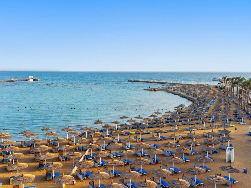 Strand mit vielen blauen Liegestühlen, Sonnenschirmen, Palmen und blauem Meer im Hintergrund.