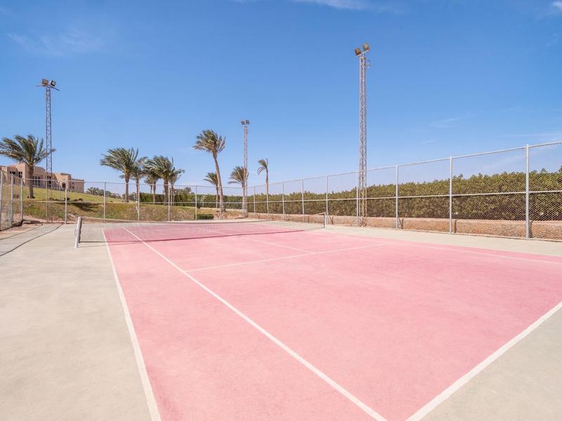 Rosa Tennisplatz mit weißen Linien, Umzäunung und Palmen bei blauem Himmel im Hintergrund.