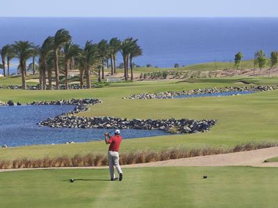 Golfer on a green course near water, palm trees, with ocean in the background.