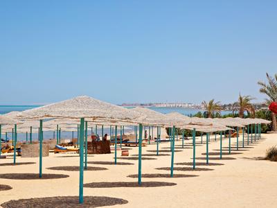 Row of sun umbrellas on sandy beach with palm trees and sea in the background.