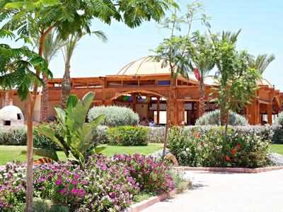 A tropical garden with blooming plants and palm trees in front of a wooden building.
