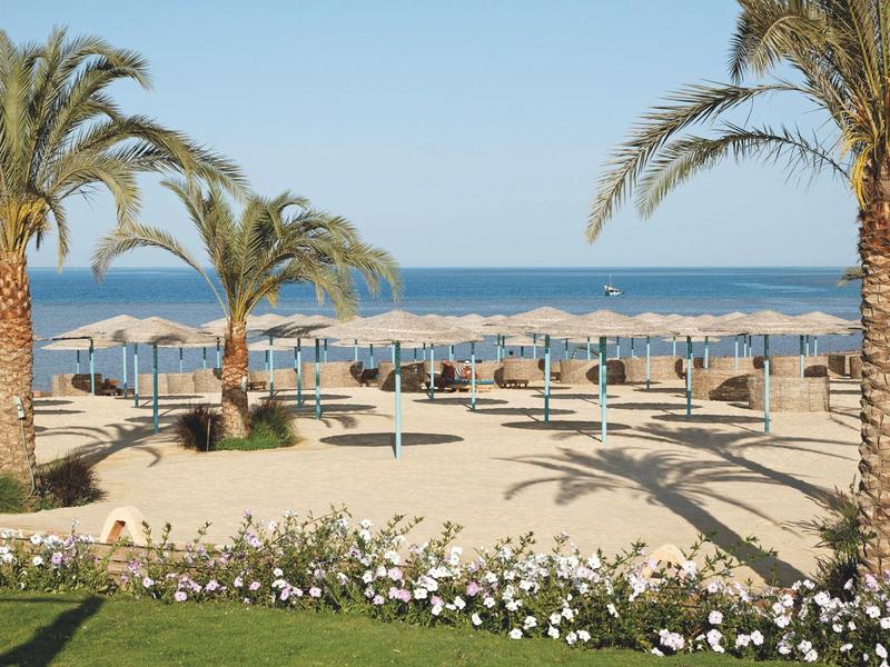 Strand mit Sonnenschirmen und Palmen vor dem Meer bei klarem Himmel.