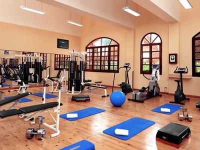 Heller Fitnessraum mit Holzfußboden, Sportgeräten, blauen Matten und großen Fenstern.