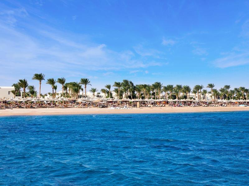 Blauer Ozean vor einem Sandstrand mit Palmen und Gebäuden unter blauem Himmel.