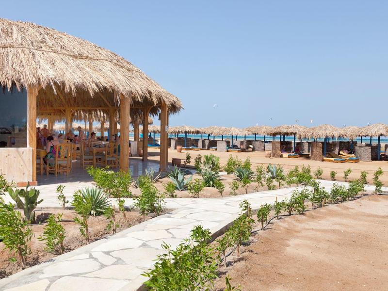 Tropical outdoor bar with thatched roof and stone path leading through plants under clear blue sky.