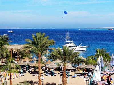 Beach with palm trees, sun loungers, umbrellas, and boats on blue sea under clear sky