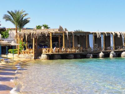Beach bar with palm trees, sun loungers, and clear sea water on a sunny day