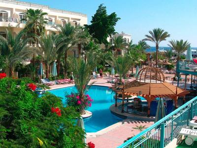 Hotelgarten mit Pool, Palmen und Sonnenterrasse an einem klaren sonnigen Tag.