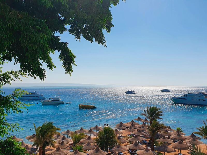 Blick auf das Meer mit Strand, Palmen und Sonnenschirmen bei klarem Himmel.