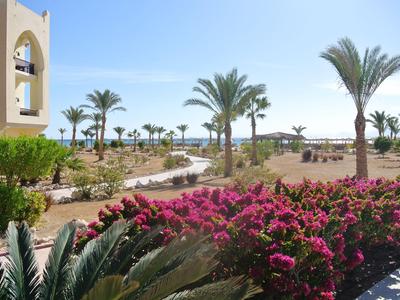 Widok na zadbany ogród z kolorowymi kwiatami i palmami w hotelu nad morzem.