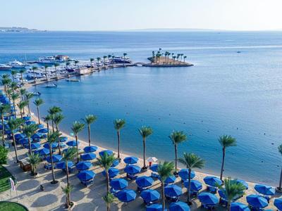 Vista della spiaggia con file di ombrelloni blu e palme sul mare.