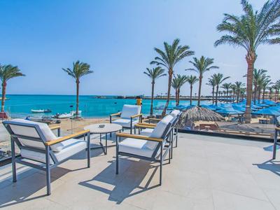 Terrace with chairs and tables by the sea under palm trees in sunny weather